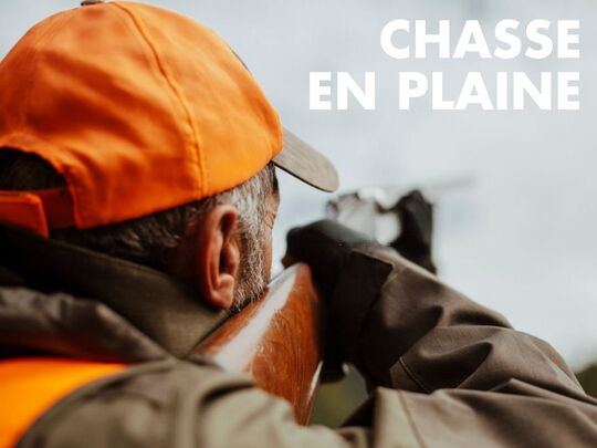 La chasse en plaine, une passion naturellement exaltante !