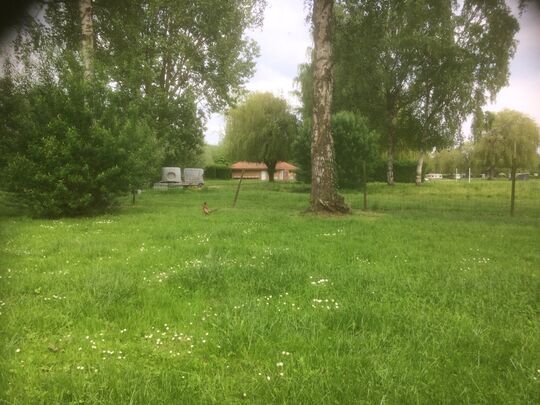 Loin des écrans, proche de la nature : C'est ça, le vrai camping !